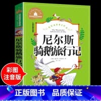 尼尔斯骑鹅旅行记 [正版]兔子坡注音版 适合小学生一年级二年级三年级下册课外书的书目老师经典书籍上册儿童漫画绘本故事书全