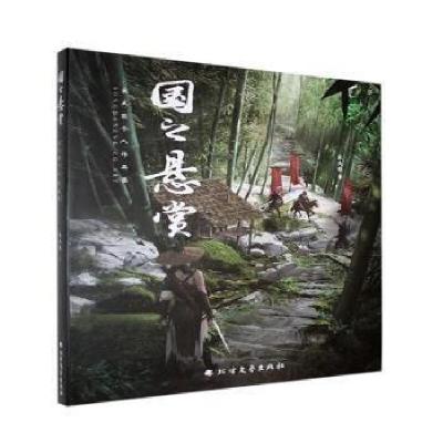 正版新书]国之悬赏宋大能9787531756774