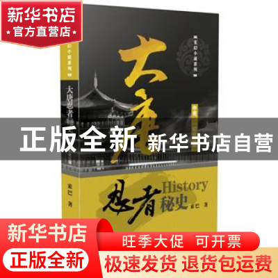 正版 大唐忍者秘史:中册:幻化江湖 王东歌 东方出版社 9787506089