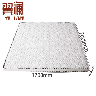 翼澜 棕垫 1.2m 张