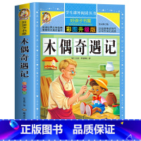 木偶奇遇记 [正版]312页木偶奇遇记 小学生青少年版课外书必读三年级四年级五六年级阅读课外书必读世界名著儿童文学故事书