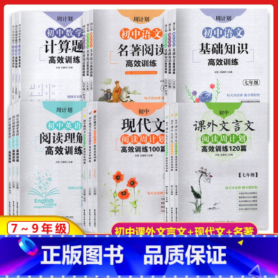 代数+几何 (2本) 八年级/初中二年级 [正版]华东理工 周计划初中七八九789年级初中课外文言文阅读高效训练名著阅读