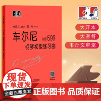 车尔尼钢琴初级练习曲 作品599 中央音乐学院 韦丹文“大符头”系列钢琴教程 上海教育出版社