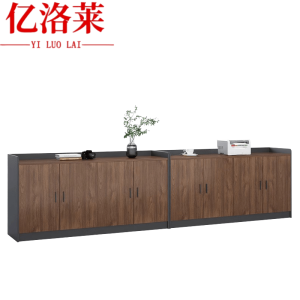 亿洛莱 文件柜 320*40*80cm 个