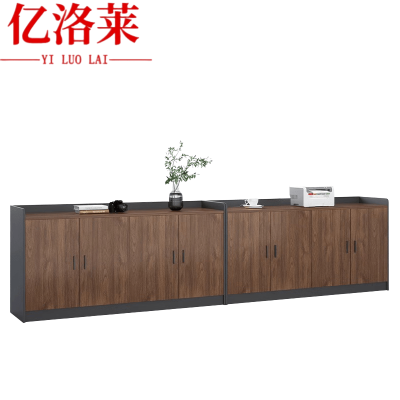 亿洛莱 文件柜 320*40*80cm 个