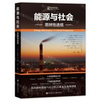 [N]能源与社会(思辨性透视)-9787522826448