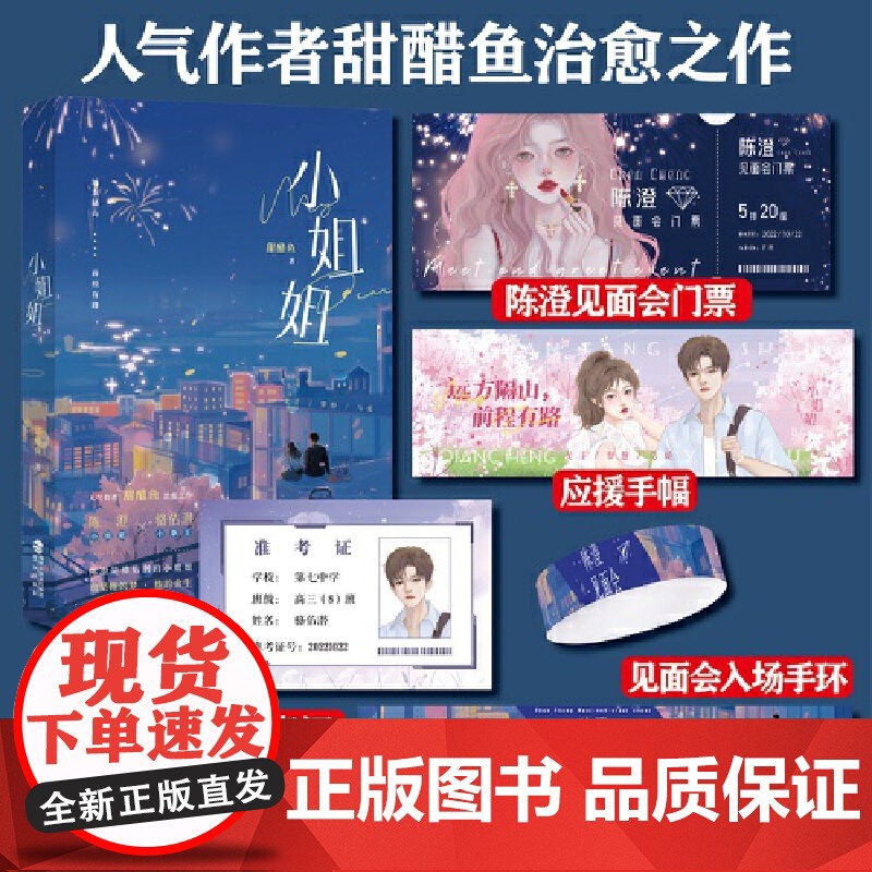 《小姐姐》 人气作家甜醋鱼 治愈之作 小姐姐陈澄×小拳王骆佑潜 甜醋鱼 鹭江出版社 正版书籍