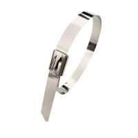 万梓 不锈钢扎带 19*400mm 根