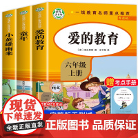 全套3册 童年爱的教育和小英雄雨来六年级上册必读的课外书老师经典书目正版小学快乐读书吧6上阅读书籍人民教育知识出版社