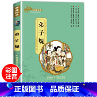 [弟子规]单本注音完整版 [正版]三字经彩图注音版 国学经典启蒙书小学生一年级二年级课外非标必读书 7-12岁阅读儿童文