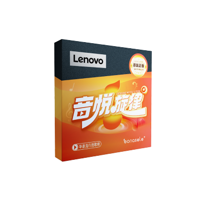Lenovo/联想汽车载优U盘MP3高音质车用载2025抖音新歌老歌dj歌u盘 - 极限释放MP3款