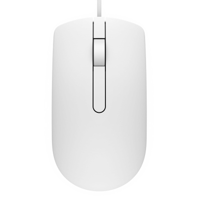 戴尔（DELL）MS116有线办公USB鼠标白色（笔记本台式机一体机电脑）MS116鼠标白色