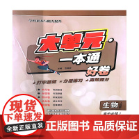 大单元·一本通 高一化学 必修第一册(人教版)(含答案册)