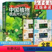 中国植物很高兴认识你全4册 [正版]中国植物很高兴认识你全4册儿童百科全书自然科普绘本图鉴6- 5-12岁小学生课外阅读