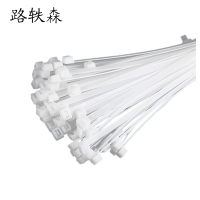 路轶森 尼龙扎带 6*200mm 根