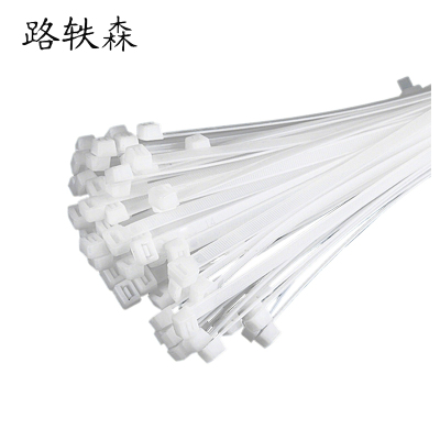 路轶森 尼龙扎带 6*200mm 根