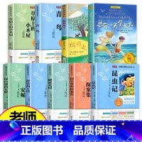 [正版]全套9册 四年级阅读课外书必读 总有一天会长大 青鸟 秘密花园 草原上的小木屋 适合小学生读的课外阅读书籍小学