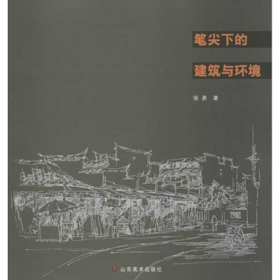 音像笔尖下的建筑与环境张勇