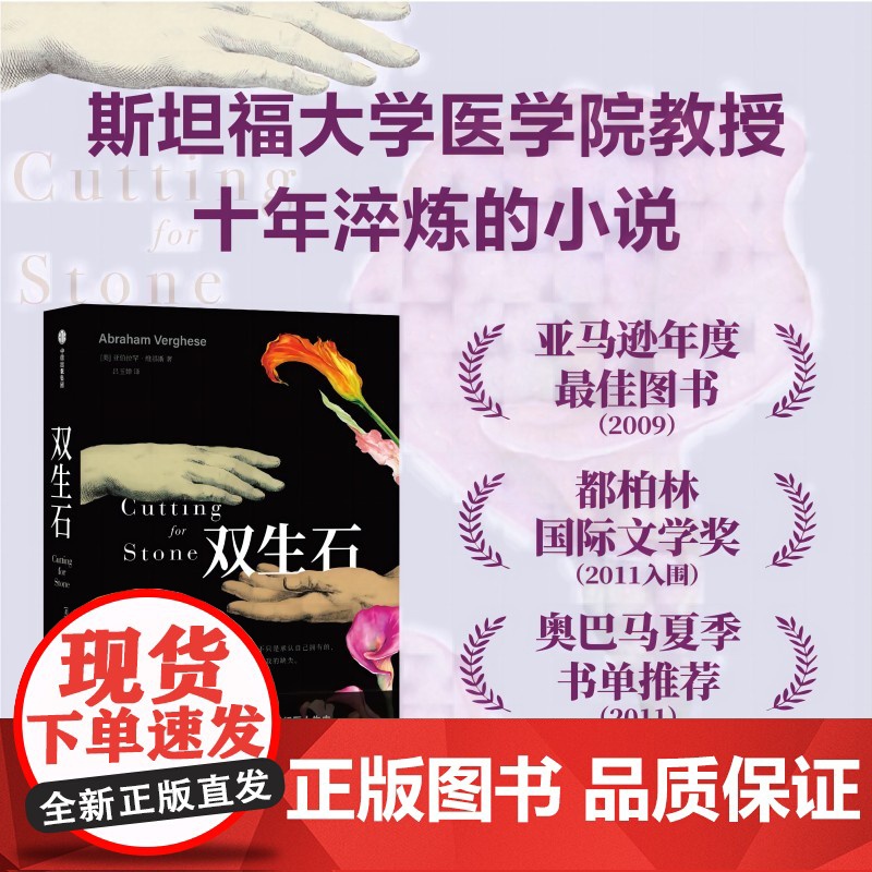 双生石 亚伯拉罕·维基斯著 双生兄弟传奇的成长故事 斯坦福大学医学院教授十年淬炼的小说 中信出版社图书 正版
