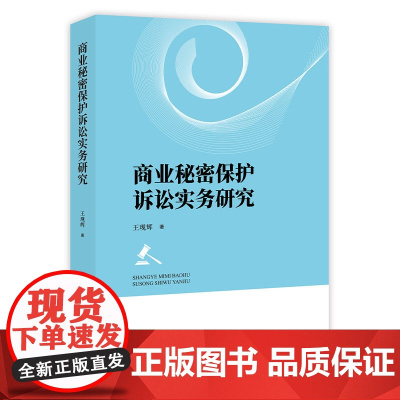 正版 商业秘密保护诉讼实务研究 王现辉 著 知识产权出版社 商业秘密-法律保护-研究 9787513088787