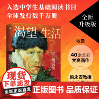 渴望生活 梵高传 从梵高开始 每个人必须是自己的太阳 欧文·斯通 著 40张全彩梵高画作 梁永安教授万字导读
