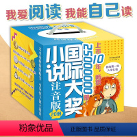 国际大奖小说 注音版20册礼盒 [正版]国际大奖小说注音版20册礼盒 世界经典儿童文学JST含亲爱的汉修先生飞吧红头发云