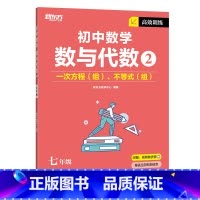高效训练初中数学 数与代数2 七年级/初中一年级 [正版]2023版初中英语词汇词根+联想记忆法 乱序便携版 绿宝书 俞