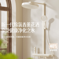 惠达(HUIDA)花洒套装家用卫生间香薰除氯超大置物钢琴键精铜主体增压花洒 DW18数显大置物