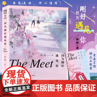 赠书签]因为刚好遇见你 林熙著 暖心校园励志成功积正能量青春言情都市爱情情感成长随笔散文小说书籍余生很长何慌张
