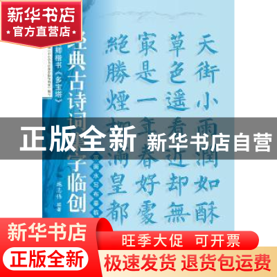 正版 颜真卿楷书《多宝塔》 施志伟编著 上海科学技术文献出版 97