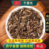 甄选千里光100克正品干货九里光九里明泡水泡茶洗澡新货干货官方店