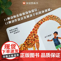 信谊从头动到脚 宝宝起步走婴幼少儿童亲子阅读绘本故事图画书籍0-1-2-3岁幼儿亲子游戏动作早教启蒙圆角纸板书艾瑞卡尔明
