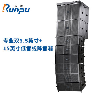 润普国产化专业双6.5英寸+15英寸低音线阵音箱报告厅大礼堂会议无缘音箱套装组合RP-XZS600-8
