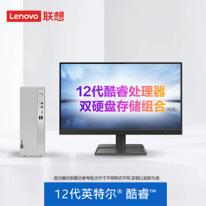 联想(Lenovo)天逸510S 个人商务台式机电脑整机(i3-12100 8G 512G SSD wifi6 win11 键鼠 三年上门)配23.8英寸显示器