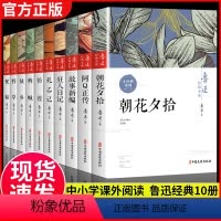 鲁迅经典全集10册 [正版]全套10册鲁迅全集故乡朝花夕拾呐喊社戏经典野草孔乙己阿Q正传狂人日记故事新编祝福原著六七年级