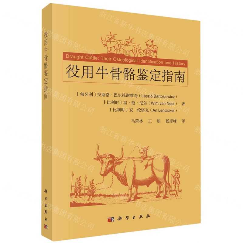[N]役用牛骨骼鉴定指南-9787030768445