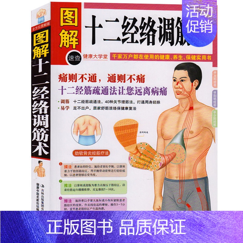 [正版]区域 图解十二经络调筋术 50种疾病对症的筋保健法 中医经络穴位按摩养生 家庭保健 家庭实用健康宝典 中医穴位养
