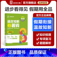 语文[全国版RJ] 小学五年级 [正版]2025春 温故知新寒暑假作业小学5五年级升学假期衔接作业五年级寒假作业语文人教