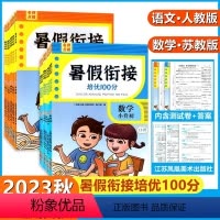 数学一升二 小学通用 [正版]名师点拨2023新版暑假衔接作业名师点拨暑假衔接培优100分一升二升三升四升五升六小升初江