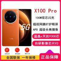 vivo X100 Pro 落日橙 16GB+1TB 蓝晶x天玑9300旗舰芯 蔡司影像 LPDDR5X闪存 100W双芯闪充 5G拍照 全新自研影像芯片V3 手机
