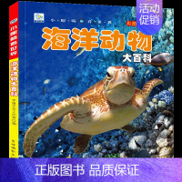 海洋动物大百科 [正版]小眼睛看世界少年儿童百科全书大百科全套幼儿动物恐龙昆虫宇宙趣味科普类书籍小学生一二年级课外书军事