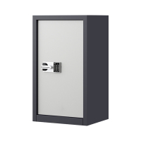 利特莱依指纹电子保密柜钢制密码文件柜档案柜矮柜保密资料柜办公柜单门灰白:国保锁