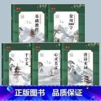 全套5本 [正版]瘦金体练字帖硬笔入门字帖初学者宋徽宗钢笔描红练字帖速成练字男生女生漂亮字体行楷书法初中生高中生古诗词唐