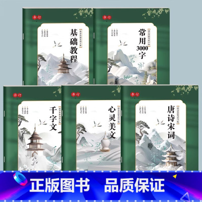 全套5本 [正版]瘦金体练字帖硬笔入门字帖初学者宋徽宗钢笔描红练字帖速成练字男生女生漂亮字体行楷书法初中生高中生古诗词唐