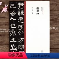 [正版]隶书系列 张迁碑 隶书毛笔书法字帖原碑帖繁体旁注 中国历代经典碑帖 陈振濂 名家作品临摹范本墨迹本 河南美术出