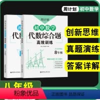 [数学]代数综合题高效训练 八年级/初中二年级 [正版]初中八年级初二数学计算题专项训练代数几何综合题初中作文高分范文精