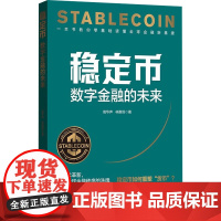 稳定币 数字金融的未来 高华声等 著 金融与投资