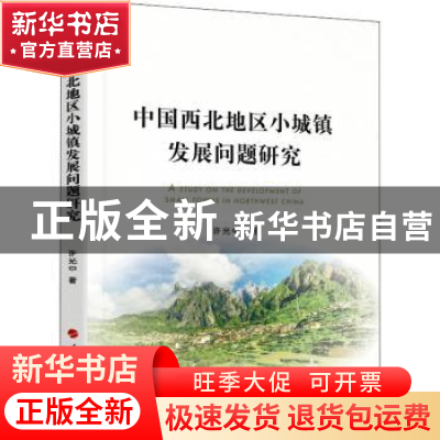 正版 中国西北地区小城镇发展问题研究 许光中 人民出版社 978701
