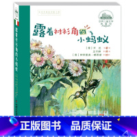 世界儿童文学典藏馆·意大利——露着衬衫角的小蚂蚁(典藏版) [正版]世界儿童文学典藏馆—— 露着衬衫角的小蚂蚁(典藏版)