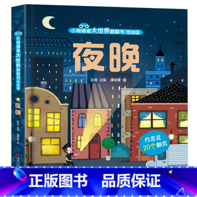 夜晚 [正版]夜晚立体书儿童3d立体书 小眼睛看大世界翻翻书 宝宝一岁二岁启蒙绘本故事书0-1-2-3-4-5岁撕不烂的